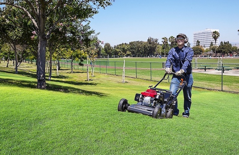 7 Key Reasons Why Landscape Maintenance Holds Importance